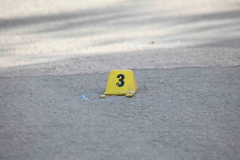 Erciş’te iki kardeşe silahlı saldırı: 1 ölü, 1 yaralı