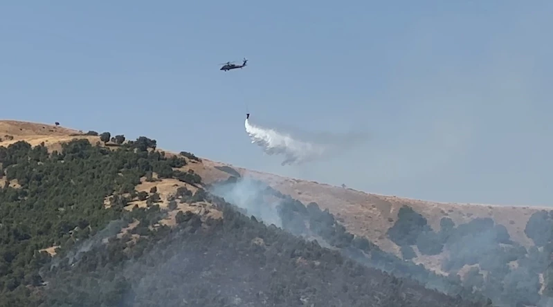 Şemdinli’deki yangına havadan müdahale devam ediyor