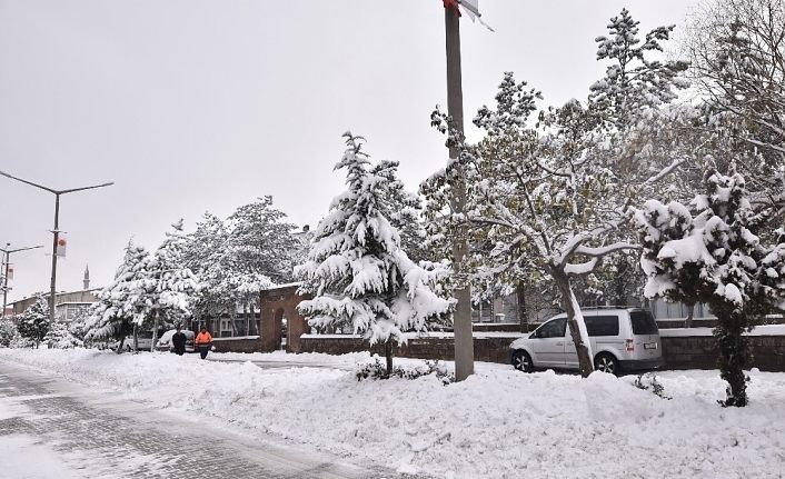 Ahlat’ta tüm köy yolları ulaşıma kapandı