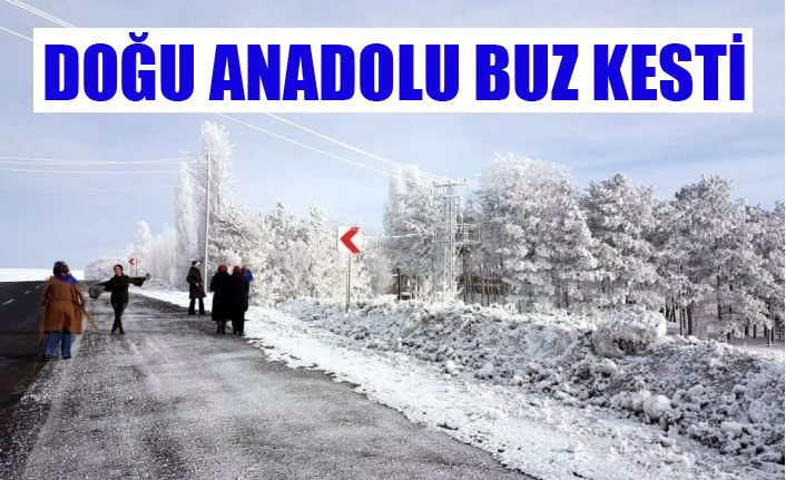 Doğu Anadolu buz kesti
