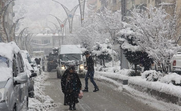 Hakkari’de kar yağışı