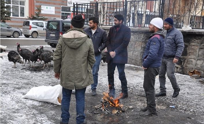 Kars’ta yılbaşı hindileri pazara indi