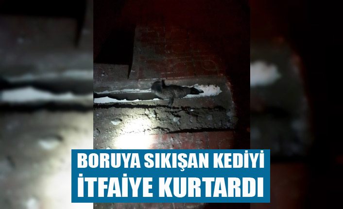 Boruya sıkışan yavru kediyi itfaiye kurtardı