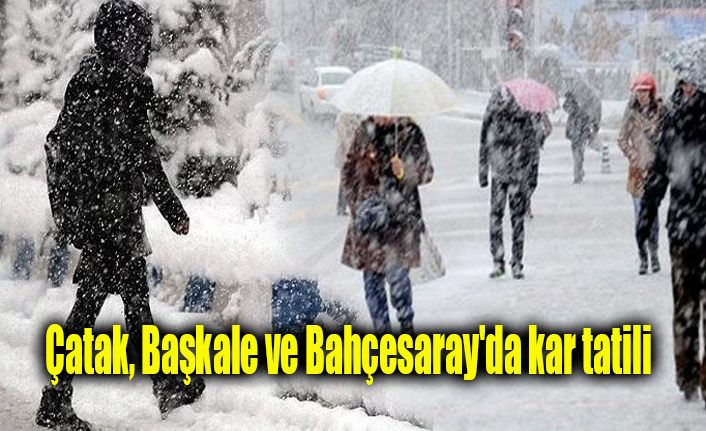Çatak, Başkale ve Bahçesaray'da kar tatili