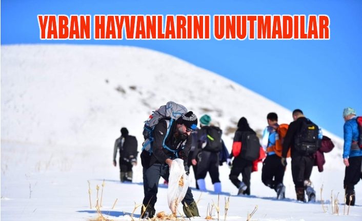Dağcılardan yaban hayvanları için yemleme çalışması