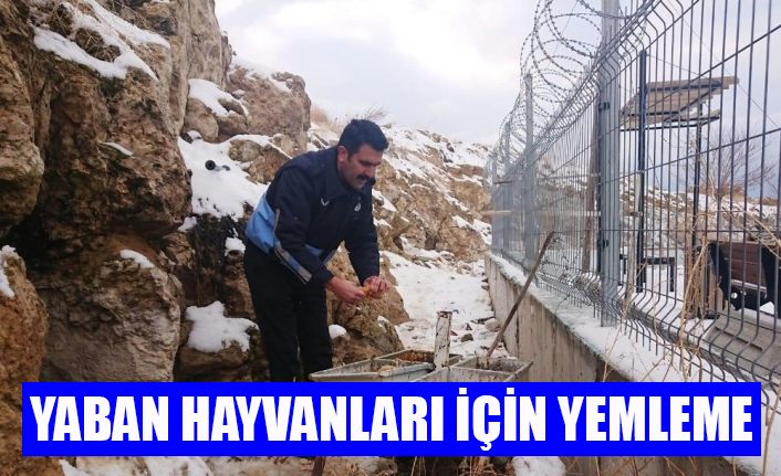Edremit Belediyesinden yemleme çalışması