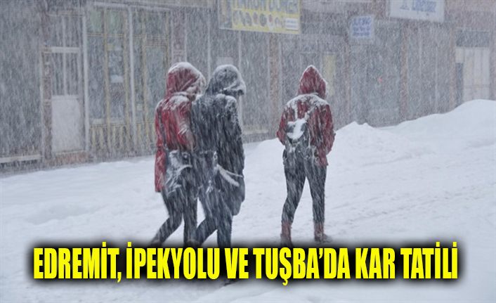 Edremit, İpekyolu ve Tuşba'da kar tatili