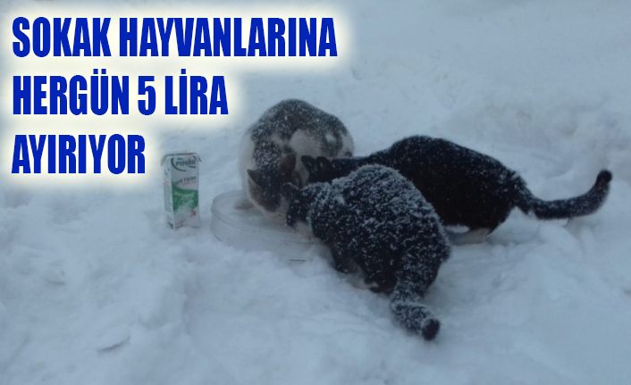 Her gün 5 lirasını sokak hayvanlarına ayırıyor