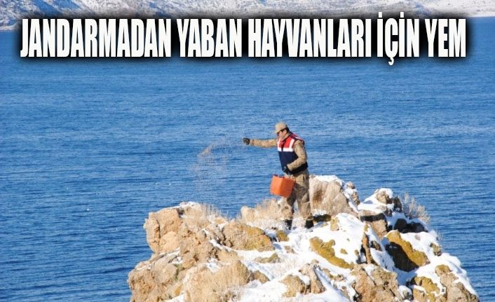 Jandarmadan Akdamar ve Kuzu adalarında yemleme çalışması