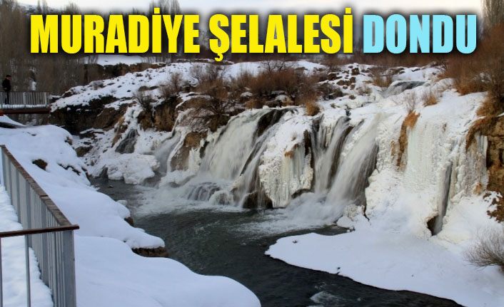 Muradiye Şelalesi dondu