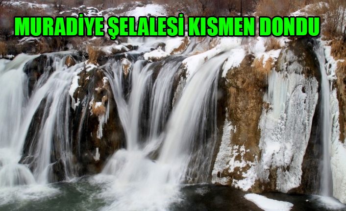 Muradiye Şelalesi kısmen dondu
