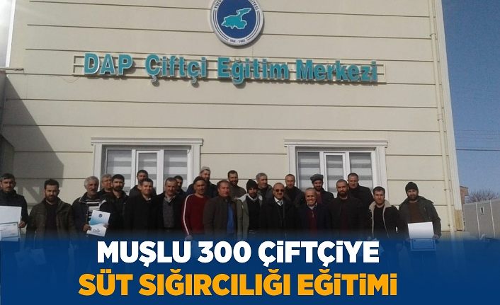 Muşlu 300 çiftçiye süt sığırcılığı eğitimi