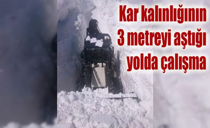 Van’da kar kalınlığının 3 metreyi aştığı bölgede çalışma