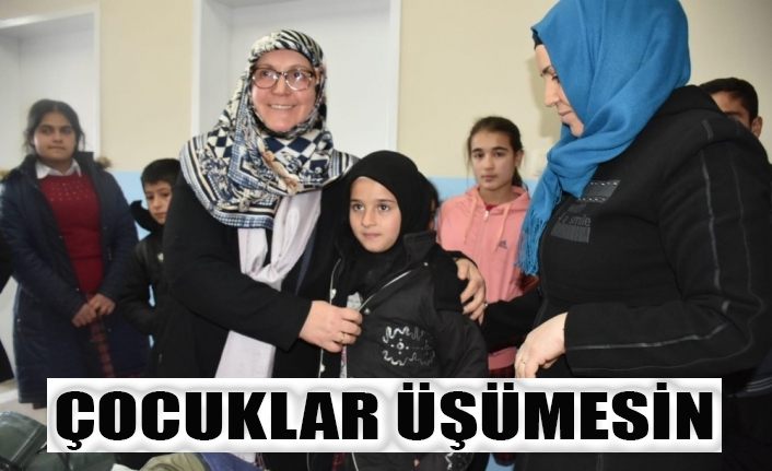 Van’da, kış mevsiminde ısıtan yardım