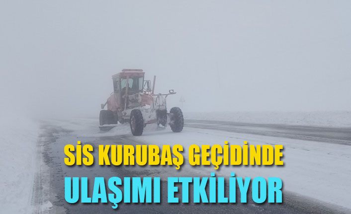 Van’da sis Kurubaş Geçidi’nde etkili oluyor