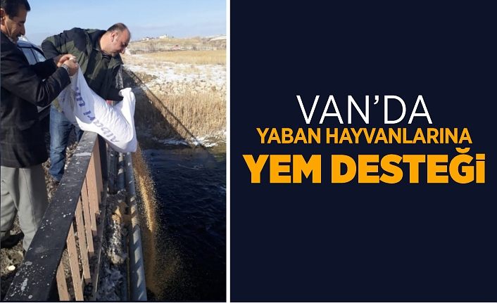 Van’da yaban hayvanlarına yem desteği