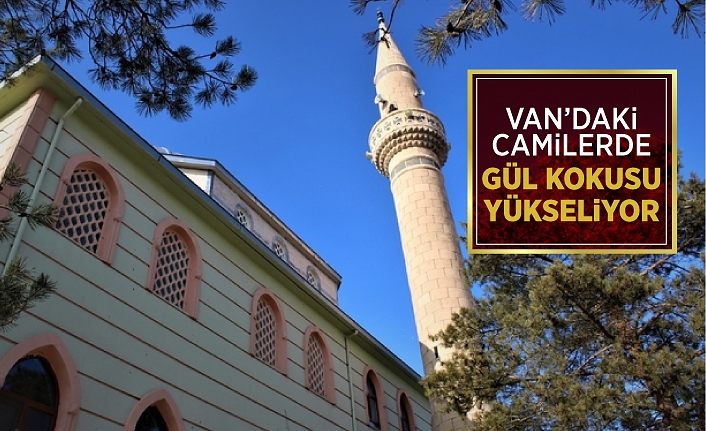 Van’daki camilerde gül kokusu yükseliyor