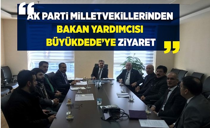 AK Parti milletvekillerinden Bakan Yardımcısı Büyükdede’ye ziyaret