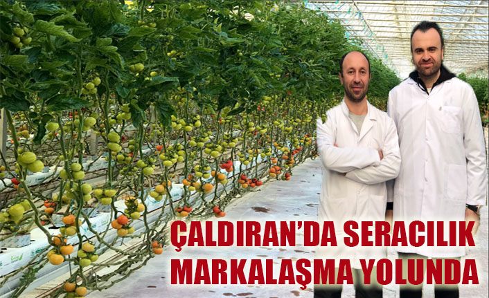 Çaldıran’da seracılık markalaşıyor