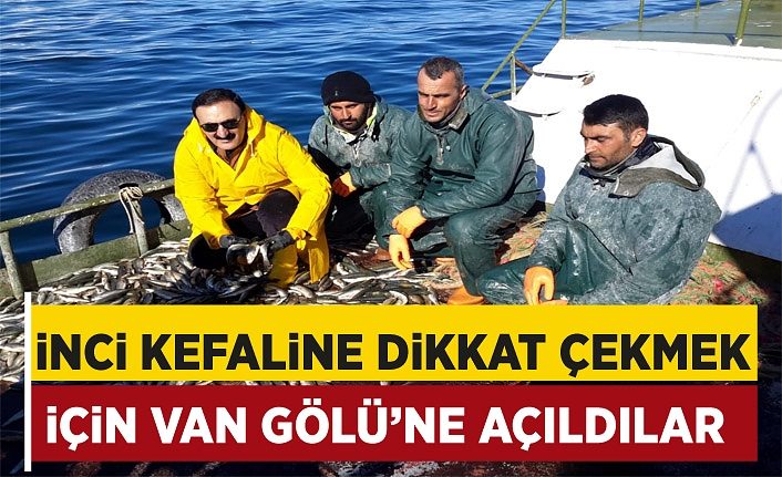 İnci kefaline dikkat çekmek için Van Gölü’ne açıldılar