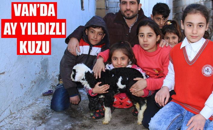Van’ın ay yıldızlı kuzusu