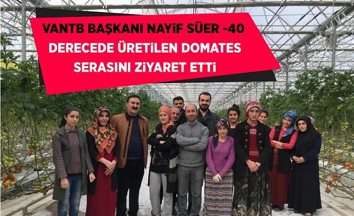 VANTB Başkanı Nayif Süer, eksi 40 derecede üretilen domates serasını ziyaret etti