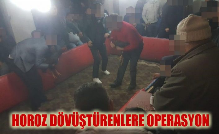 Horoz dövüştürenlere operasyon