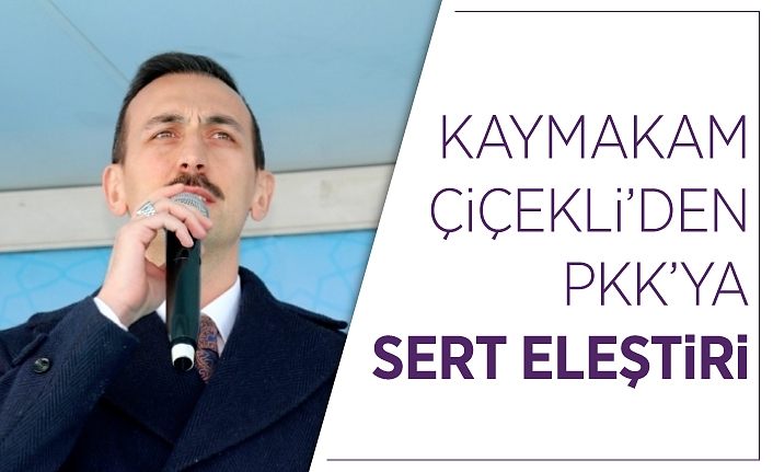 Kaymakam Çiçekli’den PKK’ya sert uyarı
