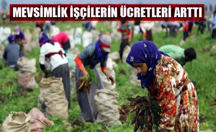 Mevsimlik işçilerin ücretleri arttı