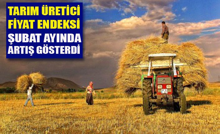 Tarım-ÜFE Şubat ayında arttı