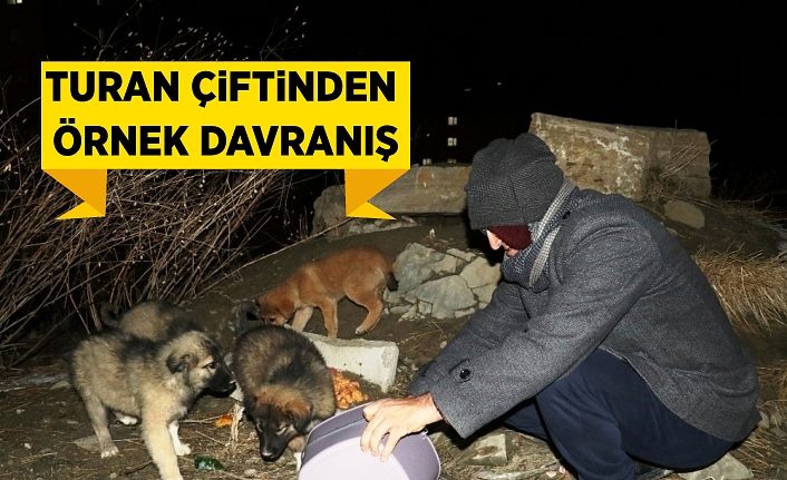 Turan çiftinden örnek davranış
