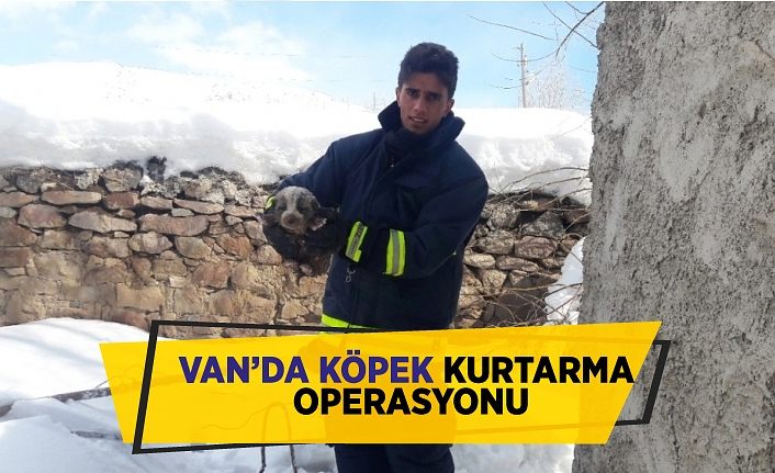Van’da köpek kurtarma operasyonu