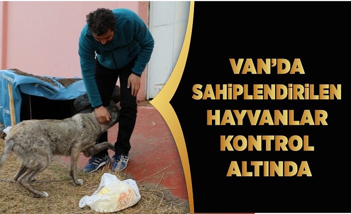 Van’da sahiplendirilen hayvanlar kontrol altında