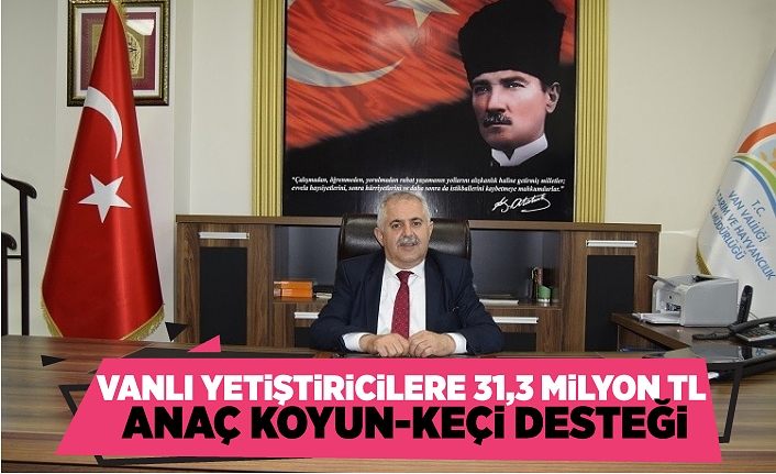 Vanlı yetiştiricilere 31,3 milyon TL anaç koyun-keçi desteği