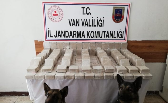 101 kilo eroin, hassas burunlu Alem ve Barut’a takıldı
