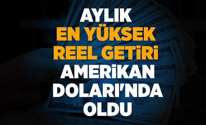 Aylık en yüksek reel getiri Amerikan Doları'nda oldu