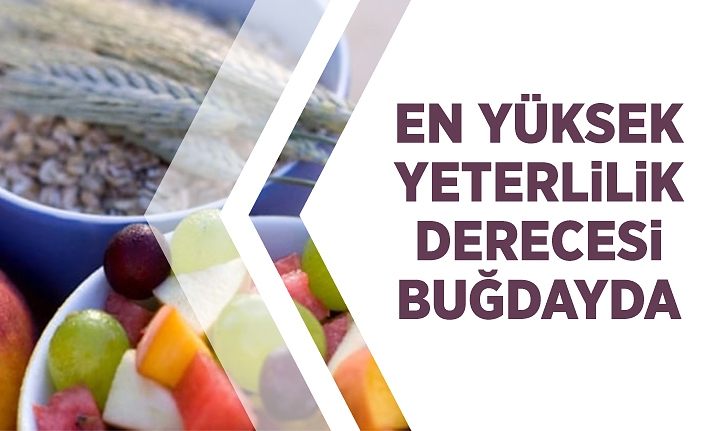 En yüksek yeterlilik derecesi buğdayda