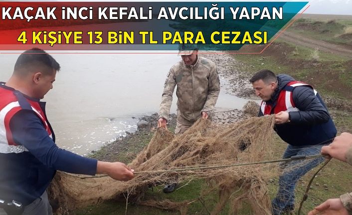 Kaçak inci kefali avcılığı yapan 4 kişiye 13 bin TL para cezası