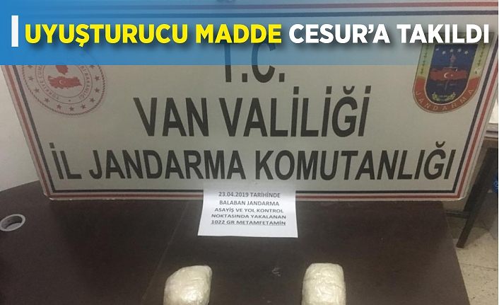 Uyuşturucu madde Cesur’a takıldı