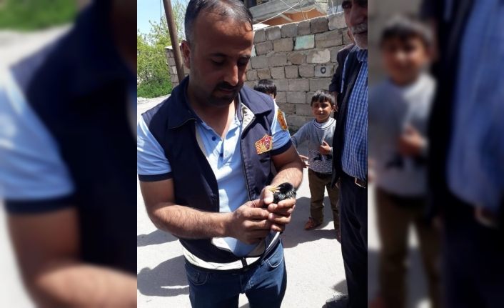 Ağaca takılan kuş, itfaiye tarafından kurtarıldı