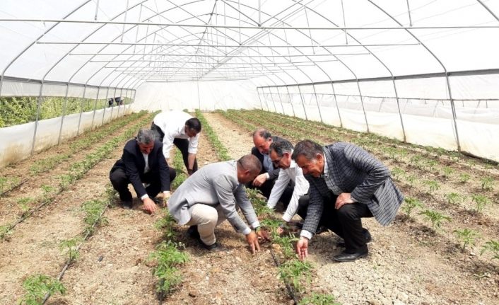 Başkan Tanış: “Sebze ve meyve fiyatları, yerli üretimle düşecek”