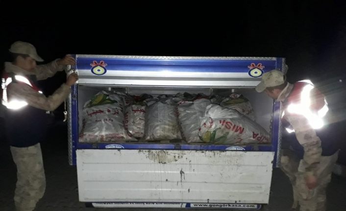 Çaldıran ve Muradiye’de 5 bin 500 kilo balık ele geçirildi