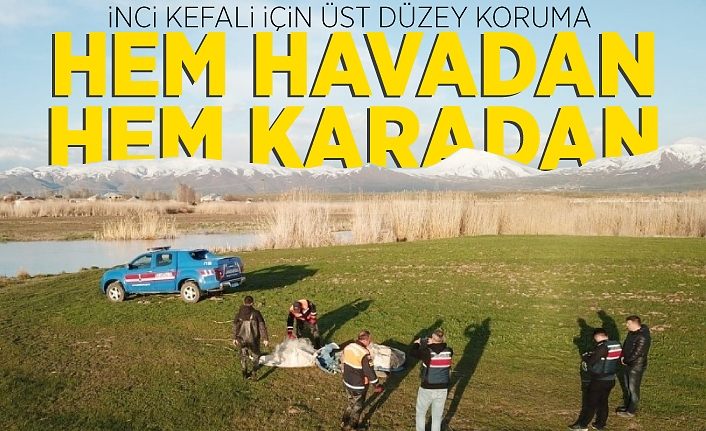 İnci kefali için karadan ve havadan denetim