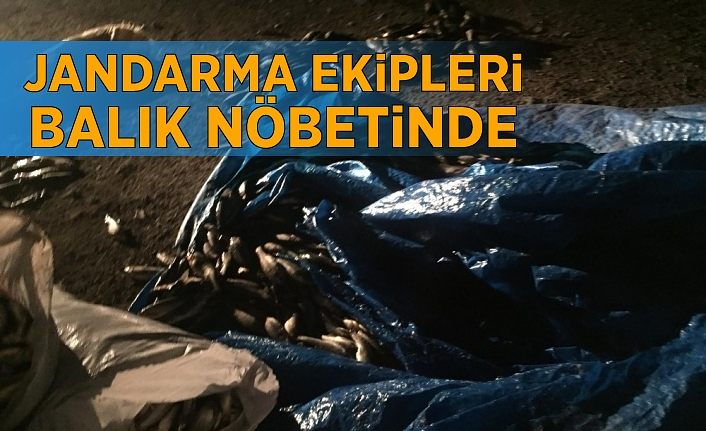 Jandarma ekipleri balık nöbetinde