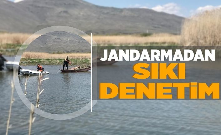 Jandarmadan inci kefali balığı için sıkı denetim