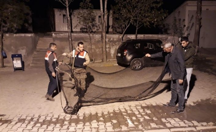 Jandarmadan kaçak avcılara geçit yok