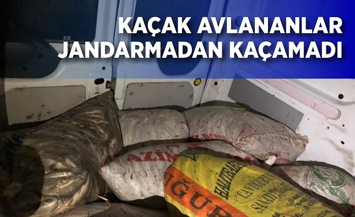 Kaçak avlananlar jandarmadan kaçamadı