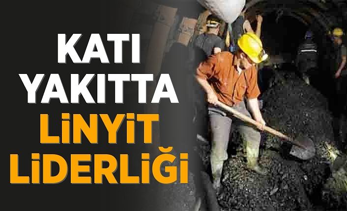 Katı yakıtta linyit liderliği