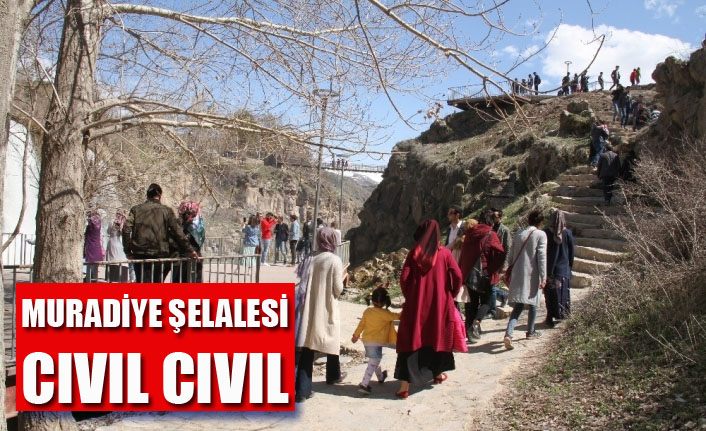 Muradiye Şelalesi cıvıl cıvıl
