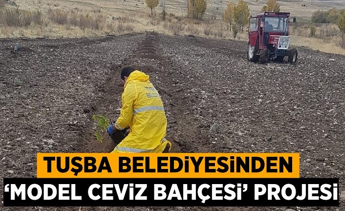 Tuşba Belediyesinden ‘Model Ceviz Bahçesi’ projesi